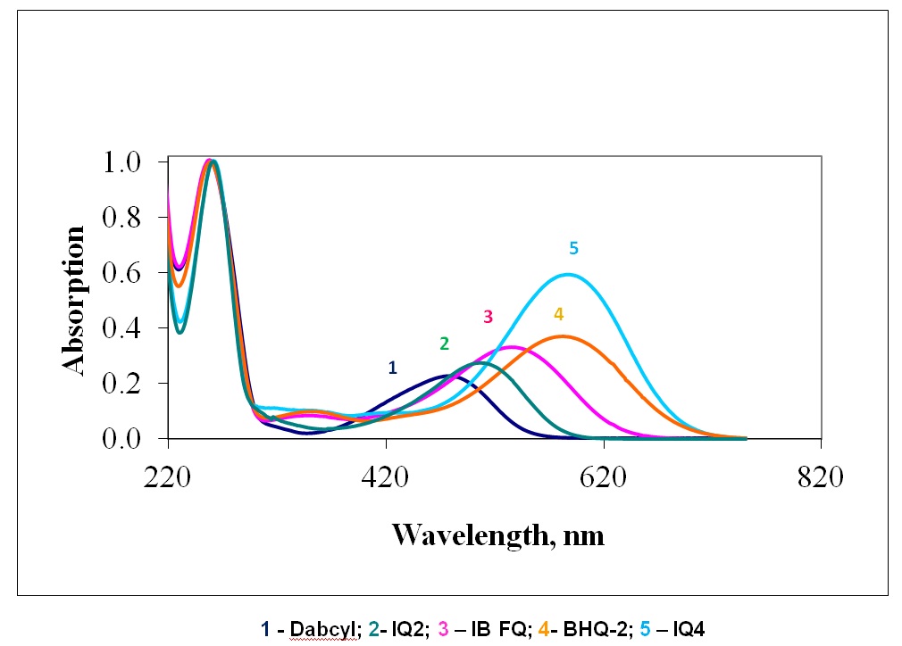 UV spectra of labeled oligo decamers